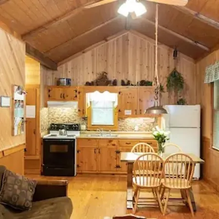 Cozy Cabin: River View With Hot Tub